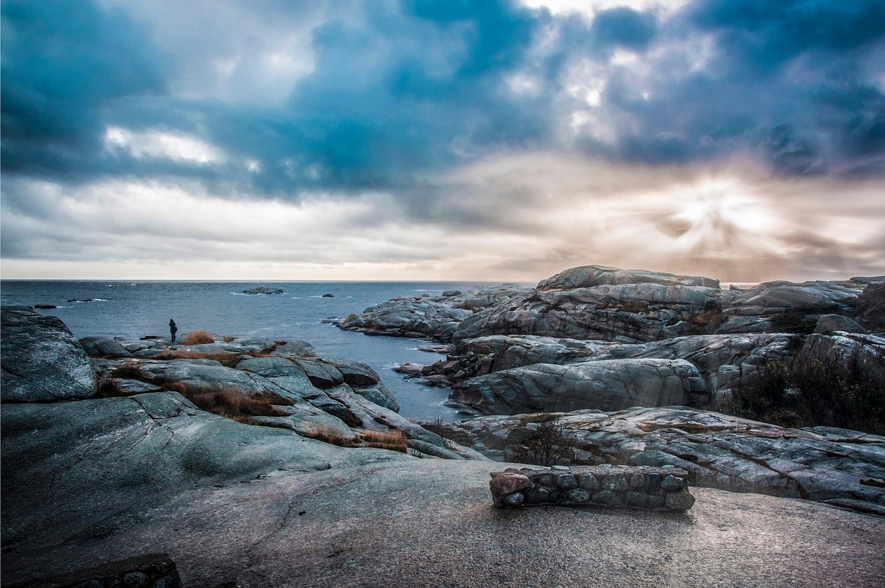 Bioma que ocupa a maior parte litorânea: Qual é?