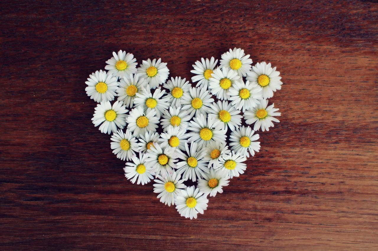 Loucos de amor: Significado e curiosidades