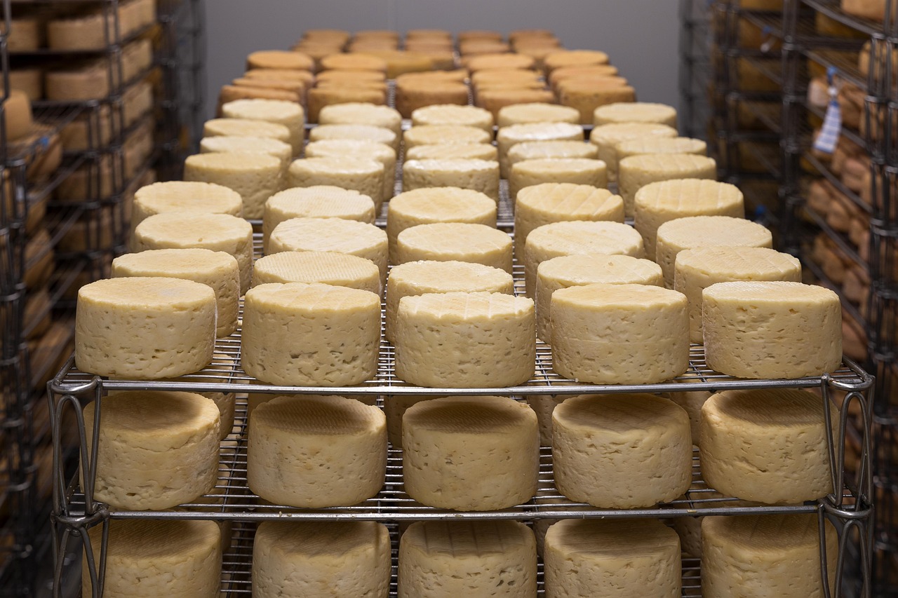 Quantas sílabas tem a palavra queijo? Resposta