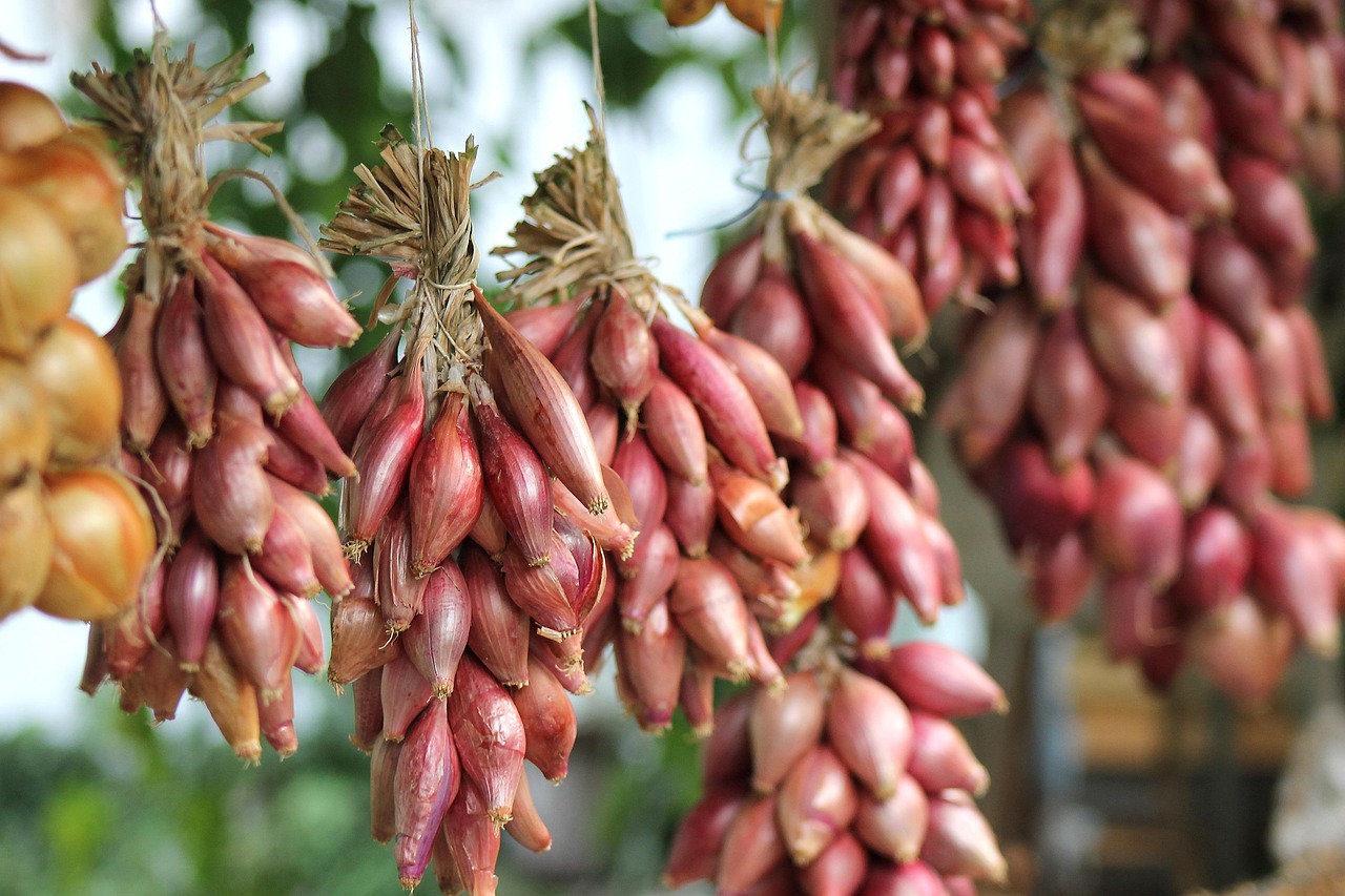 Cebola é legume? Mitos e verdades