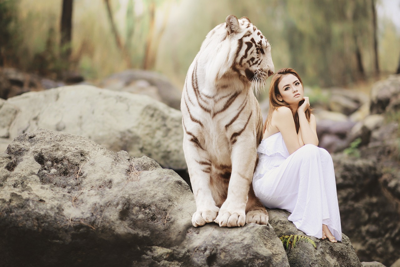 Fortune Tiger 2: Dicas para o jogo