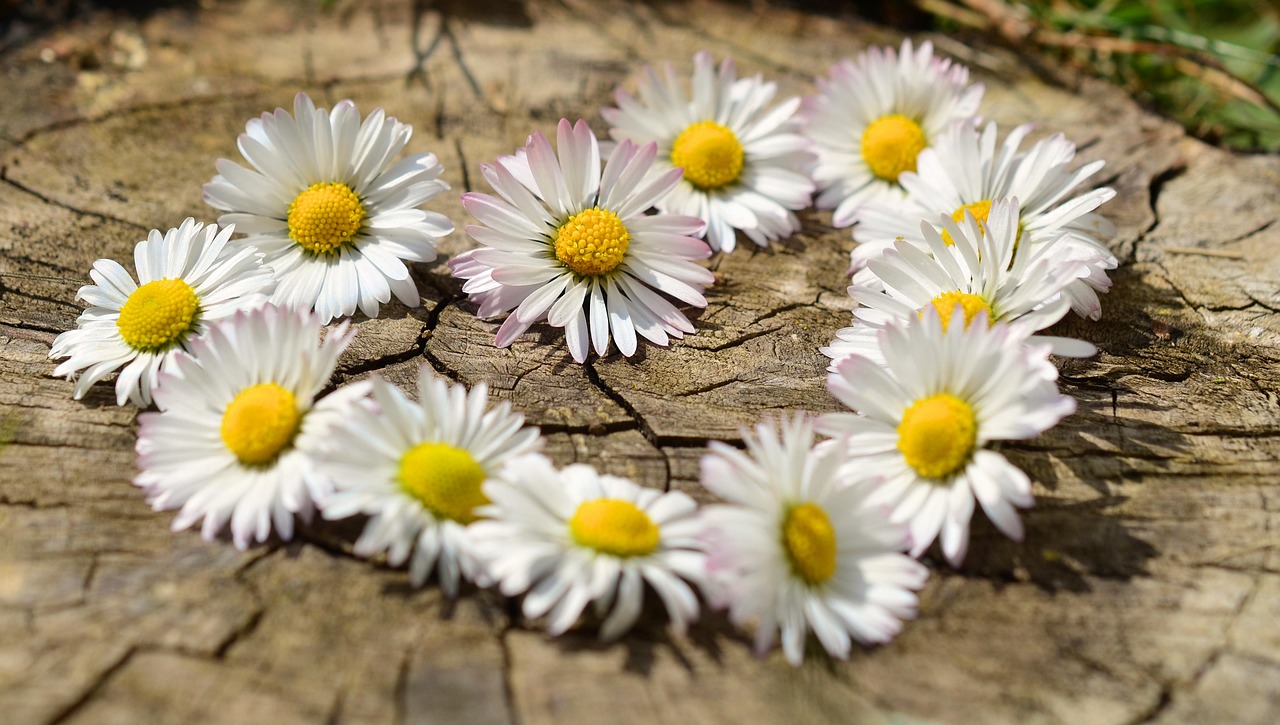 Loucos de amor: Significado e curiosidades