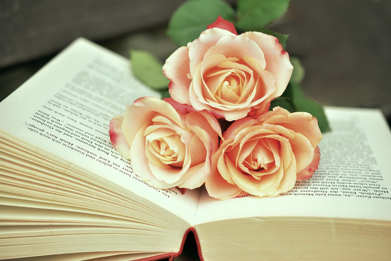 Texto com interpretação Dia do Estudante: 5 ideias