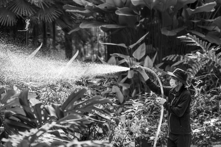 Ética e moral mapa mental: Crie o seu agora