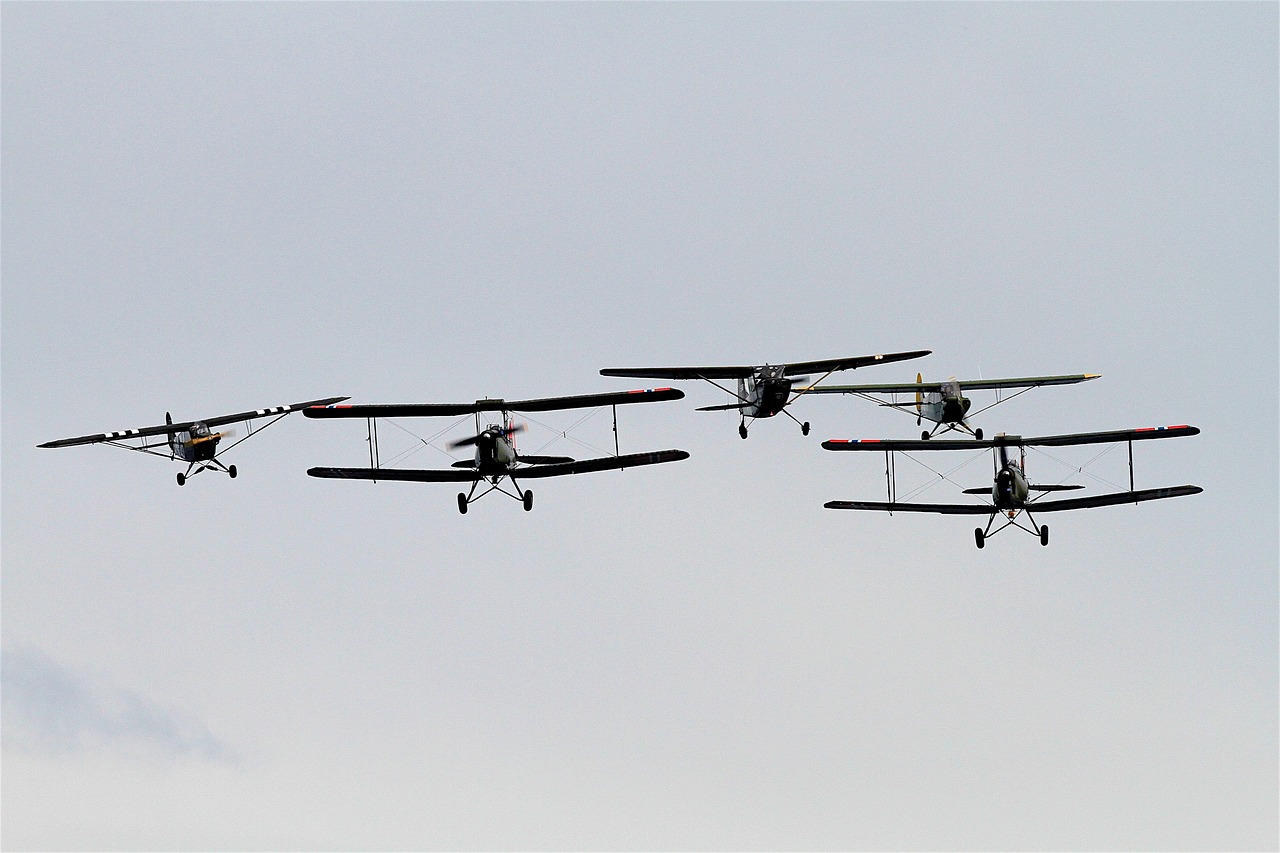 Avião testudo: O que é e curiosidades